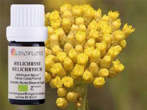 helichryse-italienne-bio-huile-essentielle-helichrysum-italicum