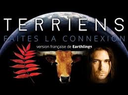 terriens-earthlings-narration-par-maxime-ginolin